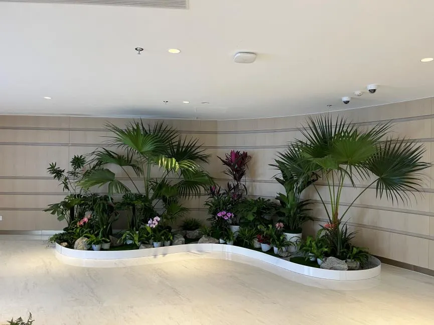 花卉租摆哪家强？宁波慈溪专业团队超棒